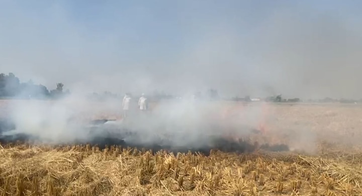 burning of straw in Punjab is not stopping, the problems reported by the farmers Burning Straw: ਨਹੀਂ ਥਮ ਰਿਹਾ ਪੰਜਾਬ ਵਿਚ ਪਰਾਲੀ ਸਾੜਨ ਦਾ ਸਿਲਸਿਲਾ, ਕਿਸਾਨਾਂ ਨੇ ਦੱਸਿਆਂ ਮੁਸ਼ਕਿਲਾਂ