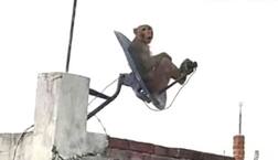 ਮਹਿੰਦਰਾ ਦੀ ਸ਼ਾਨਦਾਰ ਕਾਰ ਜਿੱਤਣ ਦਾ ਸੁਨਹਿਰੀ ਮੌਕਾ, ਸਿਰਫ ਇਸ ਫੋਟੋ ਨੂੰ ਦੇਣਾ ਹੋਏਗਾ ਕੈਪਸ਼ਨ, ਆਖਰੀ ਤਾਰੀਖ ਕੱਲ੍ਹ