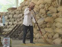 ਝੋਨੇ ਤੇ ਕਣਕ ਦੀ ਪੈਦਾਵਾਰ ਦਾ ਅੱਧਾ ਵੀ ਨਹੀਂ ਖ਼ਰੀਦ ਪਾਉਂਦੀ ਸਰਕਾਰ, ਸਿਰਫ਼ 6% ਕਿਸਾਨਾਂ ਨੂੰ ਮਿਲਦਾ MSP ਦਾ ਲਾਭ