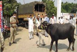 buffalo dispute: ਇੱਕ ਮੱਝ ਦੇ ਦੋ ਦਾਅਵੇਦਾਰ, ਪੁਲਿਸ ਨੇ ਵਰਤੀ ਅਜਿਹੀ ਤਰਕੀਬ ਕਿ ਹੋ ਰਹੀ ਚਾਰੇ ਪਾਸੇ ਸ਼ਲਾਘਾ