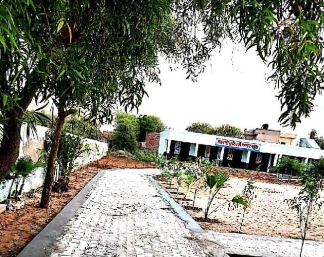 Park rahudianwali school mukatsar sahib ਸਕੂਲ 'ਚ ਨਿਵੇਕਲਾ ਉੱਦਮ, ਸੁੰਦਰਤਾ ਦੇ ਨਾਲ-ਨਾਲ ਵਾਤਾਵਰਨ ਨੂੰ ਤਵੱਜੋਂ