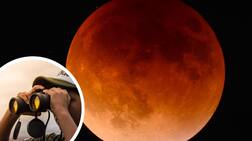 Glimpse of Mars: ਅੱਜ ਅਸਮਾਨ 'ਚ ਨਜ਼ਰ ਆਏਗਾ ਦੁਰਲੱਭ ਦ੍ਰਿਸ਼, ਜਦੋਂ ਇੱਕ ਲਾਈਨ 'ਚ ਨਜ਼ਰ ਆਉਣਗੇ ਮੰਗਲ, ਸੂਰਜ, ਧਰਤੀ