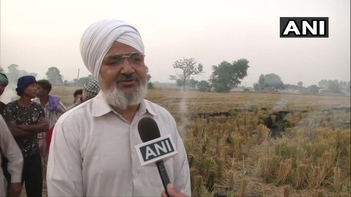 Stubble burning in Rurka Kalan village near Goraya ਪੰਜਾਬ ਦੇ ਕਿਸਾਨ ਨੇ ਪਰਾਲੀ ਸਾੜਨ ਤੇ ਦਿੱਤਾ ਇਹ ਤਰਕ, ਚੁਕਿਆ ਵੱਡਾ ਸਵਾਲ