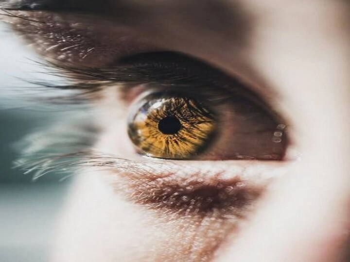 ਕੀੜਿਆਂ ਨੇ ਬੰਦੇ ਦੀ ਅੱਖ 'ਚ ਬਣਾਇਆ ਘਰ, ਦੇਖ ਕੇ ਡਾਕਟਰ ਦੇ ਉੱਡੇ ਹੋਸ਼ China 20 live worms removed from eye of a man doctors surprised ਕੀੜਿਆਂ ਨੇ ਬੰਦੇ ਦੀ ਅੱਖ 'ਚ ਬਣਾਇਆ ਘਰ, ਦੇਖ ਕੇ ਡਾਕਟਰ ਦੇ ਉੱਡੇ ਹੋਸ਼