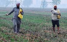 ਮਾਲ ਦੀਆਂ ਟ੍ਰੇਨਾਂ ਰੱਦ ਹੋਣ ਕਰਕੇ ਆਈ ਯੂਰੀਆ ਦੀ ਘਾਟ, ਪੰਜਾਬ ‘ਚ ਕਣਕ ਅਤੇ ਸਬਜ਼ੀਆਂ ਦੀ ਬਿਜਾਈ ਹੋ ਰਹੀ ਪ੍ਰਭਾਵਿਤ