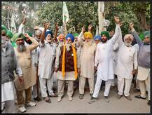 ਬੀਜੇਪੀ ਲੀਡਰ ਵੱਲੋਂ ਨਕਸਲਵਾਦੀ ਕਹਿਣ 'ਤੇ ਭੜਕੇ ਕਿਸਾਨ, ਮੌਕੇ 'ਤੇ ਪਹੁੰਚ ਲਿਆ ਐਕਸ਼ਨ