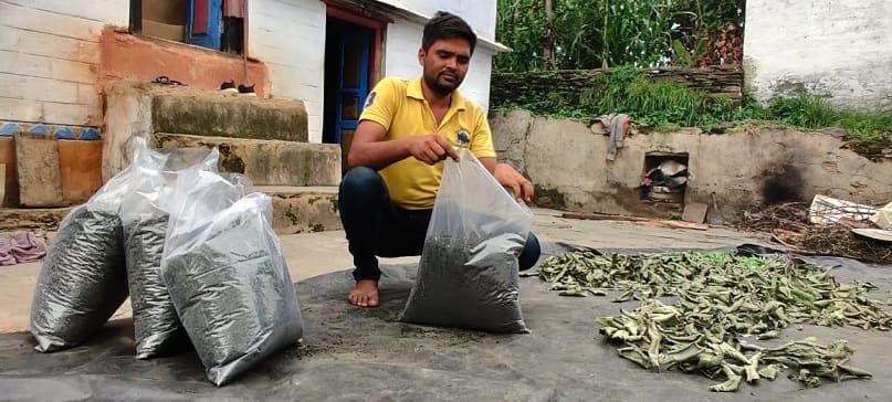 Man earning lakh rupees per month from mountain tea ਚਾਹ ਦਾ ਕਾਰੋਬਾਰ ਕਰਕੇ ਹਰ ਮਹੀਨੇ ਕਰ ਰਿਹਾ ਲੱਖਾਂ ਦੀ ਕਮਾਈ, ਲੌਕਡਾਊਨ ਨੇ ਖੋਹਿਆ ਸੀ ਰੋਜ਼ਗਾਰ