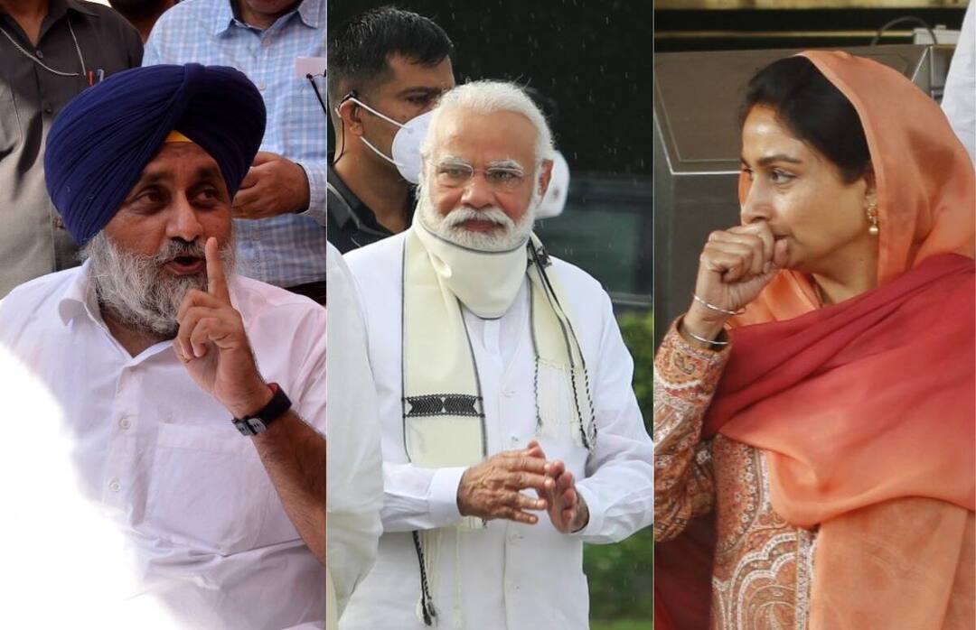 BJP in Punjab: ਅਕਾਲੀ ਦਲ ਨਾਲੋਂ ਤੋੜ-ਵਿਛੋੜੇ ਮਗਰੋਂ ਬੀਜੇਪੀ ਦਾ ਵੱਡਾ ਕਦਮ, ਹੁਣ ਨਵੇਂ ਲੀਡਰਾਂ ਨੂੰ ਸੌਂਪੀ ਪੰਜਾਬ ਦੀ ਜ਼ਿੰਮੇਵਾਰੀ Now BJP in punjab gives responsibility handed over to new leaders BJP in Punjab: ਅਕਾਲੀ ਦਲ ਨਾਲੋਂ ਤੋੜ-ਵਿਛੋੜੇ ਮਗਰੋਂ ਬੀਜੇਪੀ ਦਾ ਵੱਡਾ ਕਦਮ, ਹੁਣ ਨਵੇਂ ਲੀਡਰਾਂ ਨੂੰ ਸੌਂਪੀ ਪੰਜਾਬ ਦੀ ਜ਼ਿੰਮੇਵਾਰੀ