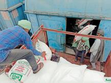 ਪੰਜਾਬ ਪਹੁੰਚੀਆਂ ਯੂਰੀਆ ਨਾਲ ਭਰੀਆਂ ਰੇਲਾਂ, ਕਿਸਾਨਾਂ ਨੂੰ ਮਿਲੀ ਵੱਡੀ ਰਾਹਤ