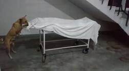 ਬੀਜੇਪੀ ਰਾਜ ਦੀ ਦਿਲ-ਦਹਿਲਾਉਣ ਵਾਲੀ ਵੀਡੀਓ, ਵੇਖੋ ਸਰਕਾਰ ਹਸਪਤਾਲ ’ਚ ਲੜਕੀ ਦੀ ਲਾਸ਼ ਦਾ ਹਸ਼ਰ, ਵੀਡੀਓ ਵਾਇਰਲ