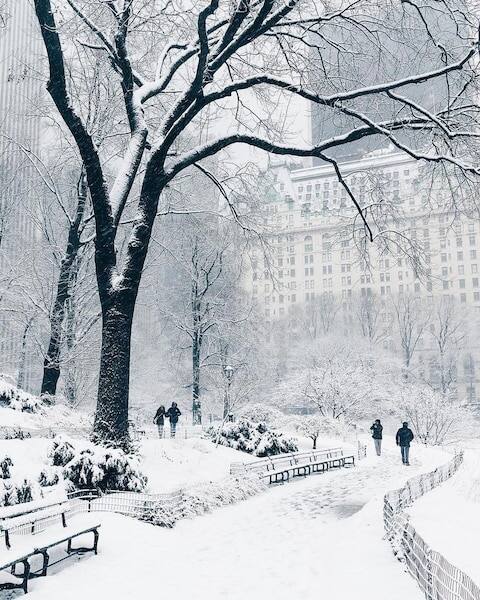 ਨਿਊਯਾਰਕ ਸ਼ਹਿਰ ਦੁਨੀਆ ਦਾ ਫੇਮਸ ਟੂਰੀਸਟ ਸਪਾਟ ਹੈ। ਇਹ ਮਨੋਰੰਜਨ ਅਤੇ ਕਾਰੋਬਾਰ ਦਾ ਇੱਕ ਹੱਬ ਬਣ ਗਿਆ ਹੈ। ਸਰਦੀਆਂ ਵਿੱਚ, ਬਰਫ ਨਾਲ ਢਕਿਆ ਹੋਇਆ ਸ਼ਹਿਰ ਬਹੁਤ ਸੁੰਦਰ ਦਿਖਾਈ ਦਿੰਦਾ ਹੈ। (Photo- planetfervor-@nathanleeallen)