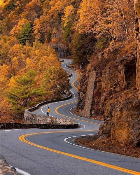 ਅਜਿਹੀ ਸੁੰਦਰ ਸੜਕ 'ਤੇ ਕੌਣ ਸਫਰ ਨਹੀਂ ਕਰਨਾ ਚਾਹੇਗਾ? ਦੋਵਾਂ ਪਾਸਿਆਂ ‘ਤੇ ਸੁੰਦਰ ਰੁੱਖ ਅਤੇ ਵਿਚਕਾਰਲਾ ਰਸਤਾ.. ਅਜਿਹਾ ਦ੍ਰਿਸ਼ ਹਰ ਪਾਸਿਓਂ ਸੈਲਾਨੀਆਂ ਨੂੰ ਆਪਣੇ ਵੱਲ ਖਿੱਚਦਾ ਹੈ। (Photo- planetfervor-@nathanleeallen)