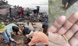 ਚੱਕਰਵਾਤੀ ਤੂਫ਼ਾਨ ਨੇ ਖੋਲ੍ਹੀ ਲੋਕਾਂ ਦੀ ਕਿਸਮਤ, ਸਮੁੰਦਰ ਕੰਢੇ ਮਿਲਿਆ ਸੋਨਾ, ਹਰ ਕੋਈ ਹੈਰਾਨ 