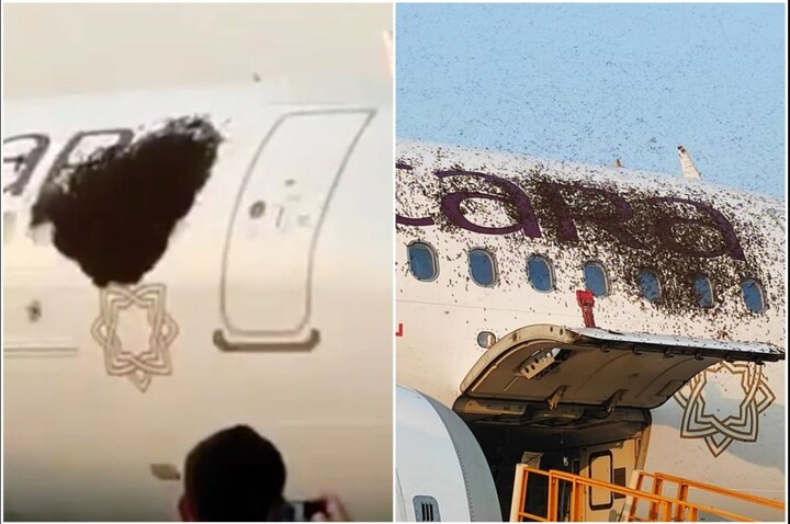Bees 'attack' on plane parked on Kolkata airport runway ਕੋਲਕਾਤਾ ਏਅਰਪੋਰਟ ਦੇ ਰਨਵੇ 'ਤੇ ਖੜ੍ਹੇ ਜਹਾਜ਼ 'ਤੇ ਮਧੂ ਮੱਖੀਆਂ ਦਾ 'ਹਮਲਾ'