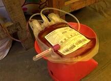 ਸਰਕਾਰ ਨੂੰ ਜਗਾਉਣ ਲਈ ਕਿਸਾਨਾਂ ਦਾ ਵੱਡਾ ਕਦਮ, ਆਪਣੇ ਖੂਨ ਕੱਢ ਲਿਖੀ ਮੋਦੀ ਨੂੰ ਚਿੱਠੀ, ਕੋਈ ਵੀ ਤਸਵੀਰਾਂ ਵੇਖ ਭਾਵੁਕ ਹੋ ਜਾਵੇ