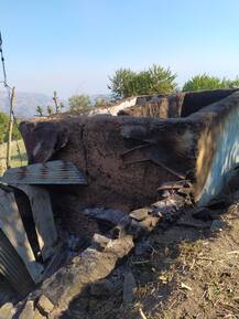 ਅੱਗ ਦੀ ਭੇਂਟ ਚੜੀ ਗਊਸ਼ਾਲਾ, ਜ਼ਿੰਦਾ ਸੜੀਆਂ ਗਾਵਾਂ ਤੇ ਬੱਕਰੀਆਂ 