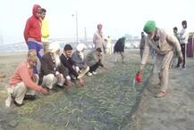 ਕਿਸਾਨਾਂ ਵੱਲੋਂ ਦਿੱਲੀ ਪੱਕੇ ਡੇਰੇ ਲਾਉਣ ਲਈ ਤਿਆਰੀ, ਬੁਰਾੜੀ ਮੈਦਾਨ 'ਚ ਬੀਜੇ ਪਿਆਜ਼