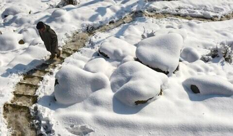 ਪੱਥਰਾਂ 'ਤੇ ਪਈ ਖੂਬਸੂਰਤ ਬਰਫ਼।