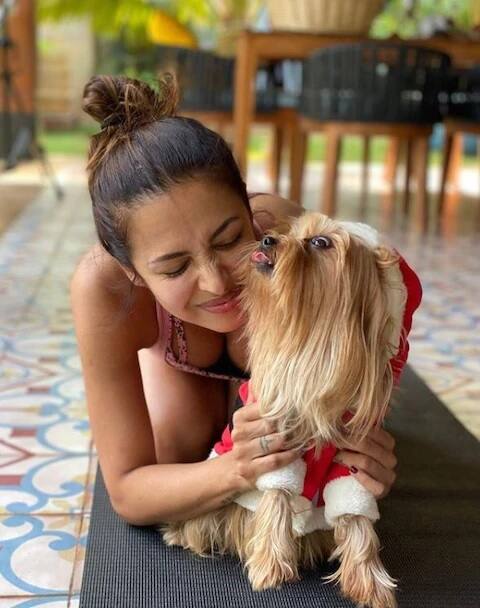 ਹਾਲ ਹੀ 'ਚ ਮਲਾਇਕਾ ਨੇ ਇਸ ਗੱਲ ਦਾ ਵੀ ਖੁਲਾਸਾ ਕੀਤਾ ਸੀ ਕਿ ਲੌਕਡਾਊਨ 'ਚ ਉਹ ਤੇ ਅਰਜੁਨ ਇਕੱਠੇ ਰਹਿ ਰਹੇ ਸਨ।