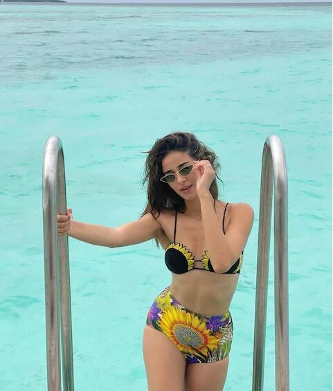 ਅਨੰਨਿਆ ਨੇ ਧੀਰੂਭਾਈ ਅੰਬਾਨੀ ਇੰਟਰਨੈਸ਼ਨਲ ਸਕੂਲ ਤੋਂ ਗ੍ਰੈਜੂਏਸ਼ਨ ਕੰਪਲੀਟ ਕੀਤੀ ਹੈ। ਅਨੰਨਿਆ ਨੇ ਸਾਲ 2019 'ਚ ਸਟੂਡੈਂਟ ਆਫ ਦ ਈਯਰ-2 ਤੋ ਬਾਲੀਵੁੱਡ 'ਚ ਬੈਡਿਊ ਕੀਤਾ ਸੀ।