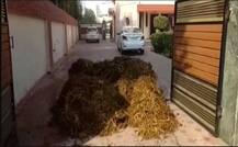 ਕਿਸਾਨਾਂ ਦੇ ਵਿਰੋਧ ਮਗਰੋਂ ਯੂ-ਟਰਨ! ਬੀਜੇਪੀ ਲੀਡਰ ਦੇ ਘਰ ਬਾਹਰ ਗੋਹਾ ਸੁੱਟਣ 'ਤੇ ਕੇਸ ਵਾਪਸ, ਥਾਣੇਦਾਰ ਤਬਦੀਲ