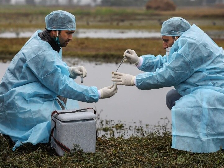 Bird Flu Migration birds monitoring with Bird flu Bird Flu ਦੇ ਮੱਦੇਨਜ਼ਰ ਪਰਵਾਸੀ ਪੰਛੀਆਂ ਦੀ ਹੋਵੇਗੀ ਮੌਨੀਟਰਿੰਗ, ਡ੍ਰੋਨ ਨਾਲ ਹੋਵੇਗੀ ਜਾਂਚ