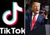ਹੁਣ Tik Tok 'ਤੇ ਅਕਾਊਂਟ ਬਨਾਉਣਗੇ ਡੋਨਲਡ ਟਰੰਪ! ਟਵਿੱਟਰ 'ਤੇ ਬੈਨ ਹੋਣ ਤੋਂ ਬਾਅਦ ਲੋਕਾਂ ਨੇ ਦਿੱਤੀ ਸਲਾਹ   