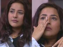 ਸ਼ਹਿਨਾਜ਼ ਗਿੱਲ ਨੂੰ ਇਸ ਤੋਂ ਲੱਗਦਾ ਬੇਹੱਦ ਡਰ, ਲਾਈਵ ਹੋ ਕੇ ਆਪ ਦੱਸਿਆ  