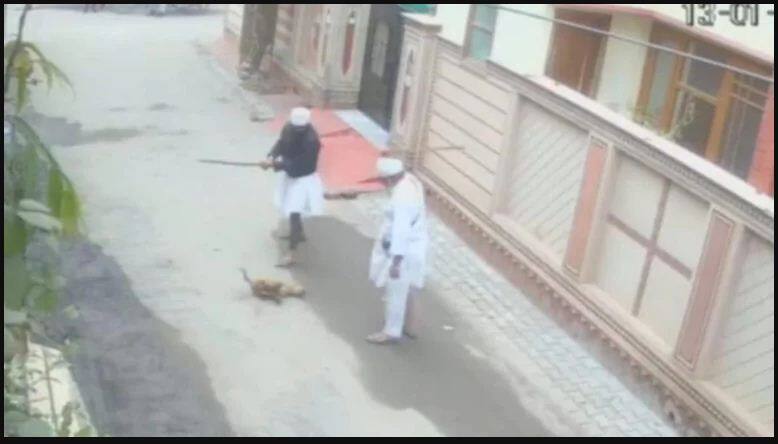 Gurudwara attendants beat dog to death in Punjab Moga, arrested after ...