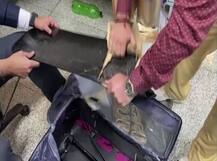 ਦਿੱਲੀ ਏਅਰਪੋਰਟ ਤੇ ₹68 ਕੋਰੜ ਦੀ ਹੈਰੋਇਨ ਬਰਾਮਦ, ਸਭ ਤੋਂ ਵੱਡੀਆਂ ਖੇਪਾਂ ਵਿੱਚੋਂ ਇੱਕ