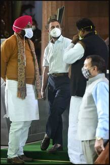 Photos: ਸੰਸਦ 'ਚ ਵੱਖਰੇ ਹੀ ਰੂਪ 'ਚ ਨਜ਼ਰ ਆਏ ਰਾਹੁਲ ਗਾਂਧੀ, ਹੁਣ ਤਸਵੀਰਾਂ ਹੋਈਆਂ ਵਾਇਰਲ