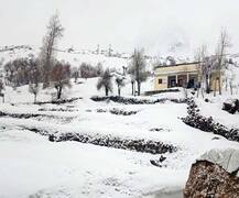 Snowfall in Shimla: ਸ਼ਿਮਲਾ 'ਚ ਇਸ ਸਾਲ ਦੀ ਪਹਿਲੀ ਬਰਫਬਾਰੀ, ਨਰਕੰਡਾ-ਰਾਮਪੁਰ ਹਾਈਵੇ ਬੰਦ, ਯੈਲੋ ਅਲਰਟ ਜਾਰੀ