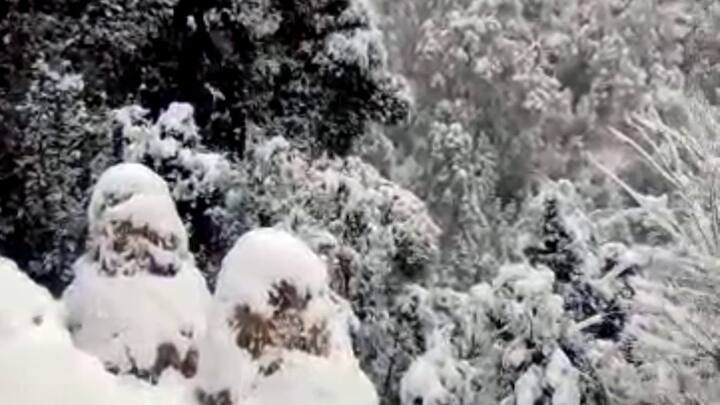 ਦੱਸ ਦਈਏ ਕਿ ਇਸ ਸਾਲ ਫਰਵਰੀ ਮਹੀਨੇ ਵਿੱਚ ਬਰਫਬਾਰੀ ਹੋਣ ਨਾਲ ਪਿਛਲੇ ਪੰਦਰਾਂ ਸਾਲਾਂ ਦਾ ਰਿਕਾਰਡ ਟੁੱਟ ਗਿਆ ਹੈ।