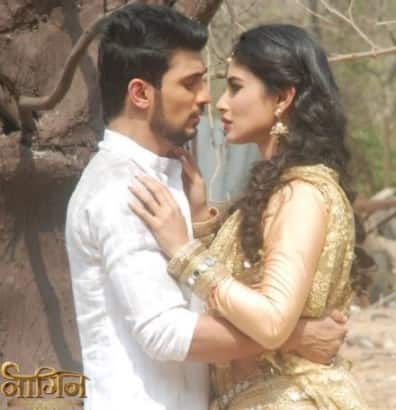 Naagin-396x410