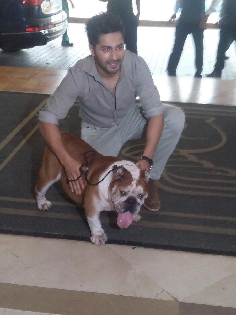 Dishoom' Dog Bradman JOINS Varun Dhawan & John Abraham at film's success party; ADORABLE PICS & VIDEO!