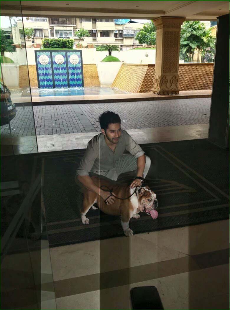 Dishoom' Dog Bradman JOINS Varun Dhawan & John Abraham at film's success party; ADORABLE PICS & VIDEO!