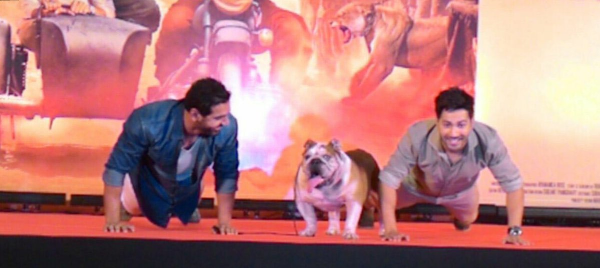 Dishoom' Dog Bradman JOINS Varun Dhawan & John Abraham at film's success party; ADORABLE PICS & VIDEO!