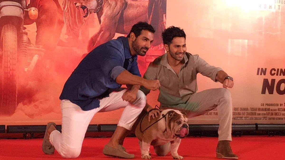 Dishoom' Dog Bradman JOINS Varun Dhawan & John Abraham at film's success party; ADORABLE PICS & VIDEO!