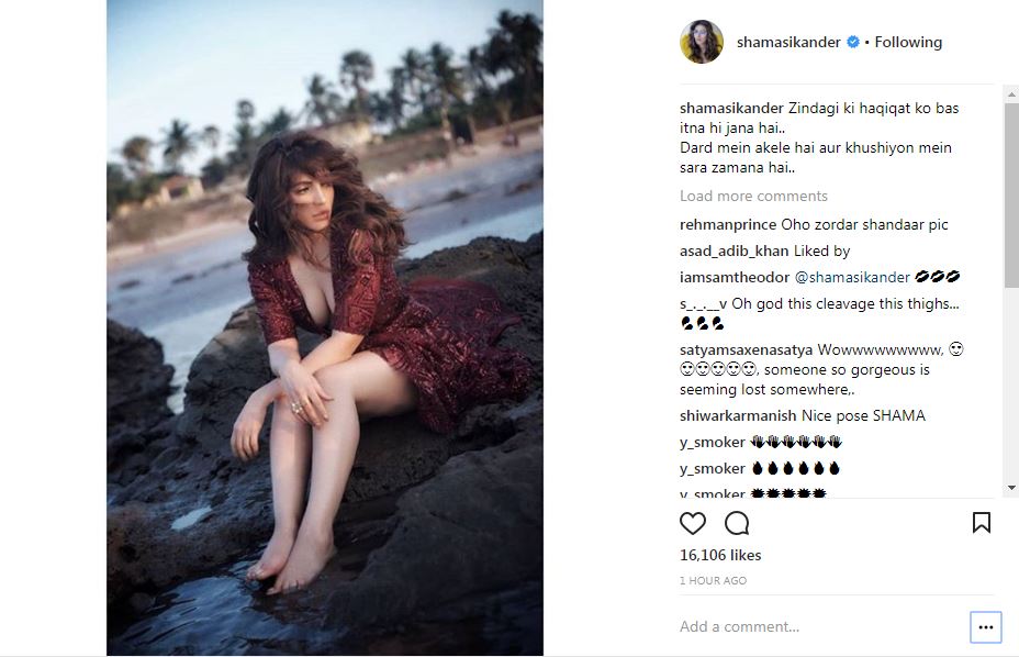 BOLDNESS ALERT! TV actress Shama Sikander sets Instagram on fire with her latest PIC!