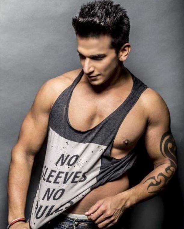 Naagin 3: Prince Narula to play negative character of a 'sapera' in the show!