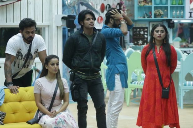 Bigg Boss 12: Rohit Suchanti and Chetna Pandey to enter as wild-card contestants?