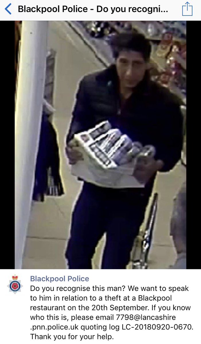 Police identify alleged thief who looks like Ross of 'Friends' aka David Schwimmer!