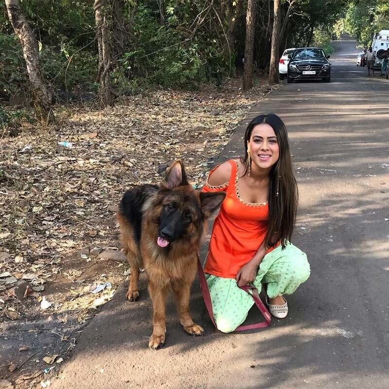 OH NO! TV actress Nia Sharma ATTACKED by DOGS during shoot; Scratched her arms & knees miserably!