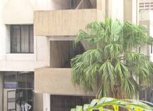 ગુજરાતમાં ચોમાસુ બેઠું: સુરત સહિત ઠેર ઠેર વરસાદી છાંટણા, જુઓ તસવીરો