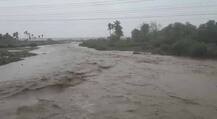 અમરેલી ધોધમાર વરસાદઃ રાજુલામાં છ ઇંચ વરસાદથી પાણી ઘરમાં ઘૂસ્યા, જુઓ તસવીરો