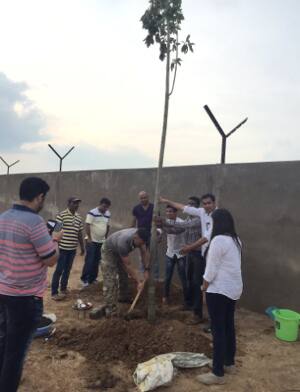 ધોનીએ બર્થડે નિમિત્તે ઝાડનું પ્લાંટેશન કર્યુ હતું. 