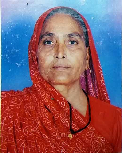 હાર્દિક વતી કોણે જામીન આપ્યા તેની વાત જાણશો તો તમે ચોંકી જશો કેમ કે હાર્દિક વતી 65 વર્ષનાં એક વૃધ્ધાએ જામીન આપ્યા છે. હાઈકોર્ટે હાર્દિક પટેલને 25 હજાર રૂપિયાના જામીન પર મુક્ત કરવા આદેશ કર્યો હતો. 65 વર્ષનાં શારદાબા નામનાં વૃધ્ધાએ હાર્દિક વતી જામીન આપ્યા હતા.