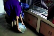 અરવલ્લીઃ મોડાસામાં 5.6 ઇંચ, ધનસુરમાં 5.4 ઇંચ વરસાદ, ઘરોમાં ઘૂસી ગયા પાણી