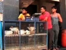 મુંબઈમાં જૈન પર્વ નિમિત્તે ફરી મીટ બેન, વિપક્ષના સરકાર પર આકરા પ્રહારો