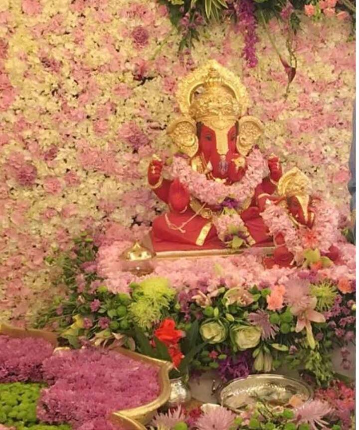 જો કે આવનારી ફિલ્મ ટ્યુબલાઈટ માટે સલમાન મનાલીમાં હોવાથી તેઓ સેલિબ્રેશનમાં શામેલ થઈ શકશે નહિ. 